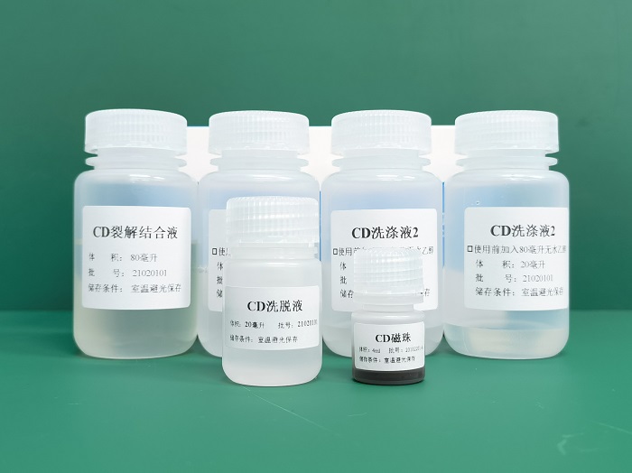全血基因组DNA提取试剂(磁珠法)瓶装