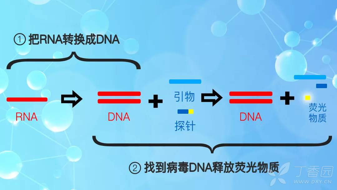 核酸检测用到的技术