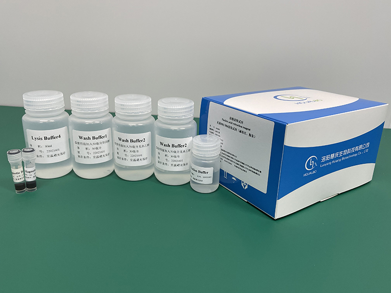 真菌DNA/RNA提取试剂(磁珠法)