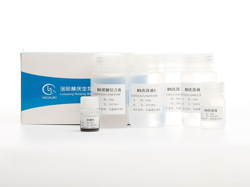 血清/血浆游离DNA提取试剂(磁珠法)