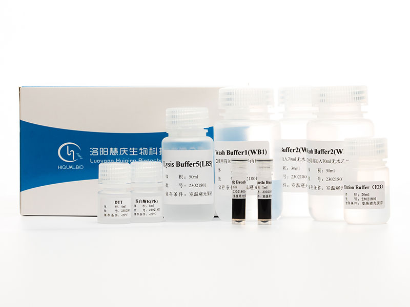 动物组织总RNA提取试剂(磁珠法)