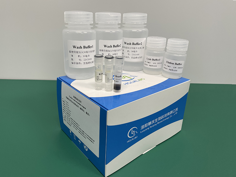 如何更好的获得细菌基因组DNA/RNA？慧庆实验成果分析