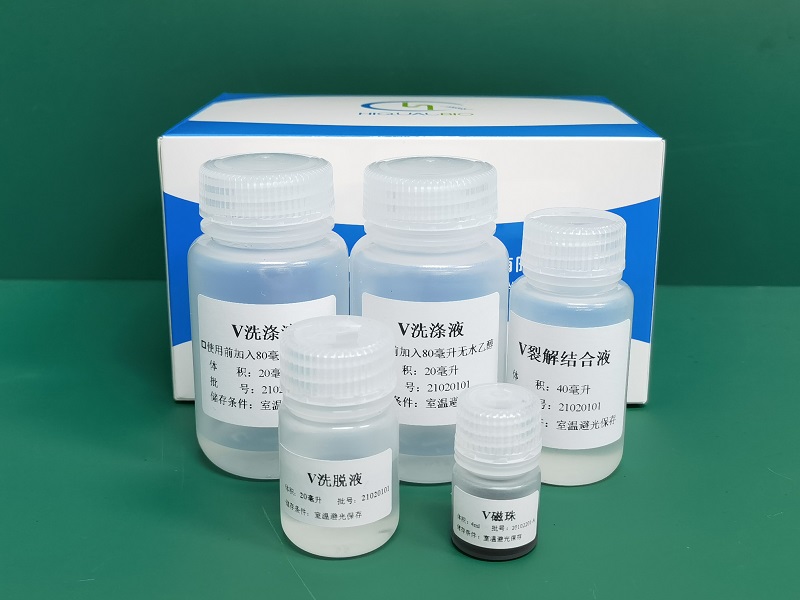 新冠病毒核酸检测、抗体检测、抗原检测三者含义、区别及检测原理