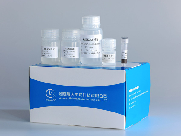 世界杯直播频道在线观看在动物检疫中的应用优势和注意事项