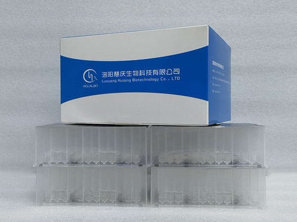 拭子类世界杯直播频道在线观看的用途和优势有哪些？