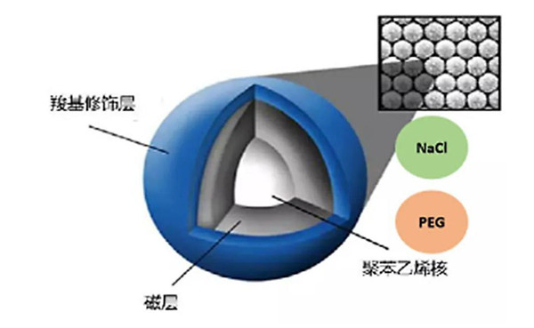什么是磁珠，磁珠法核酸提取的原理及优势